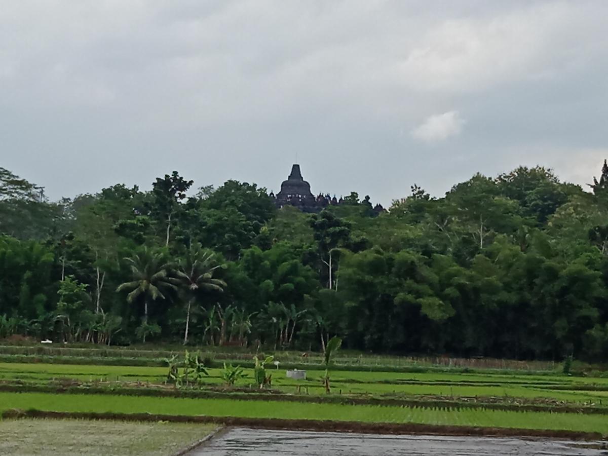 Penginapan & Guest House Mbok Dhe Borobudur Magelang Ngoại thất bức ảnh